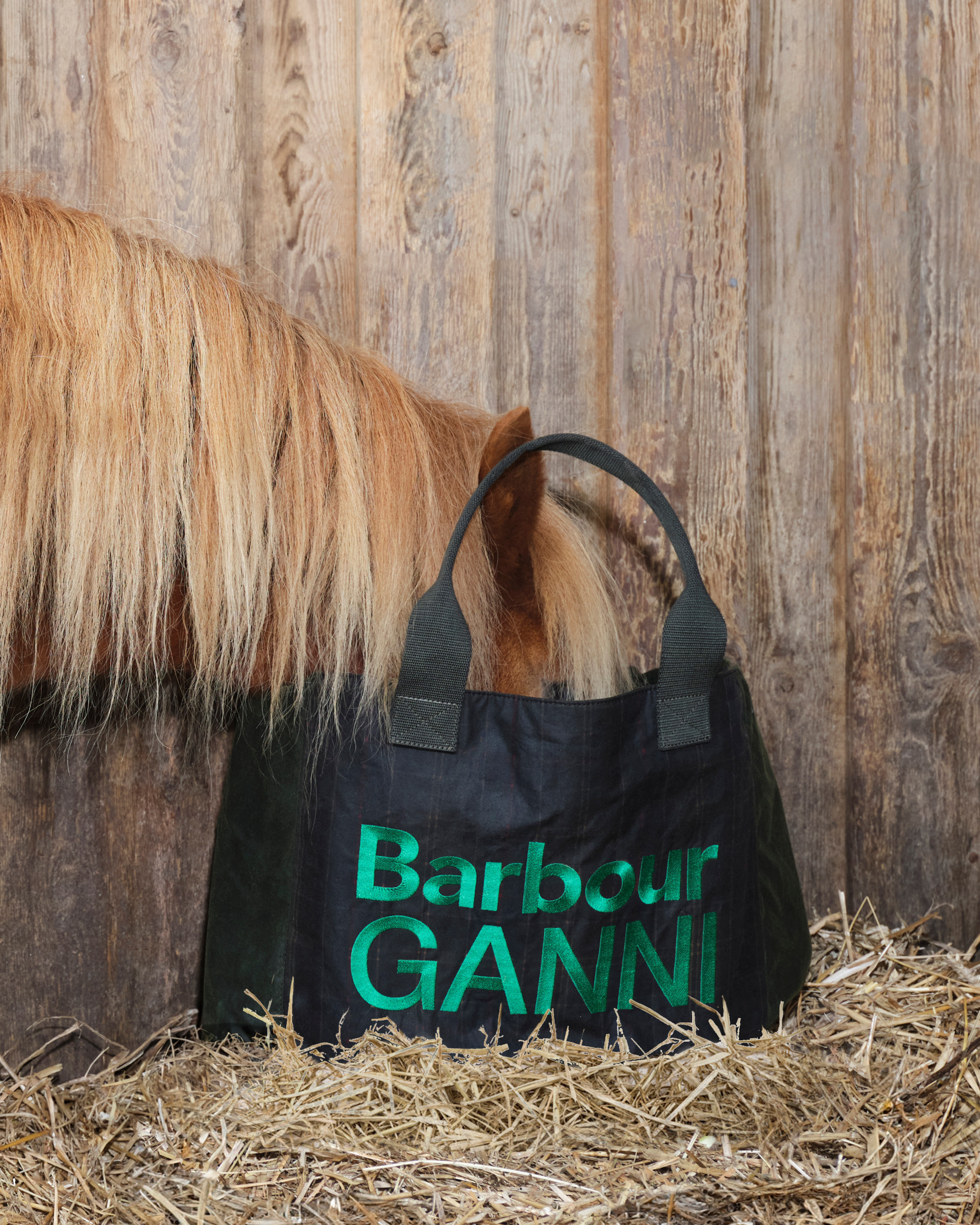 Horse with head in tote bag