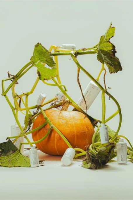 Pumpkin surrounded by vines and Dulcie products