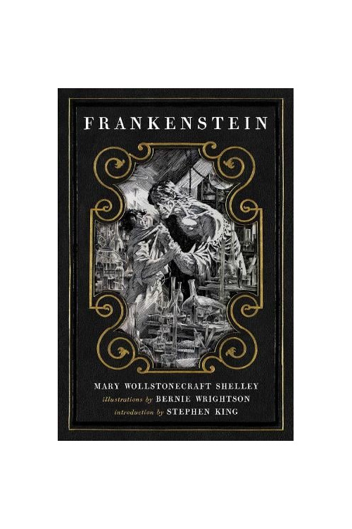 Frankenstein book