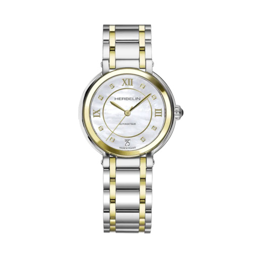 Gold and silver watch