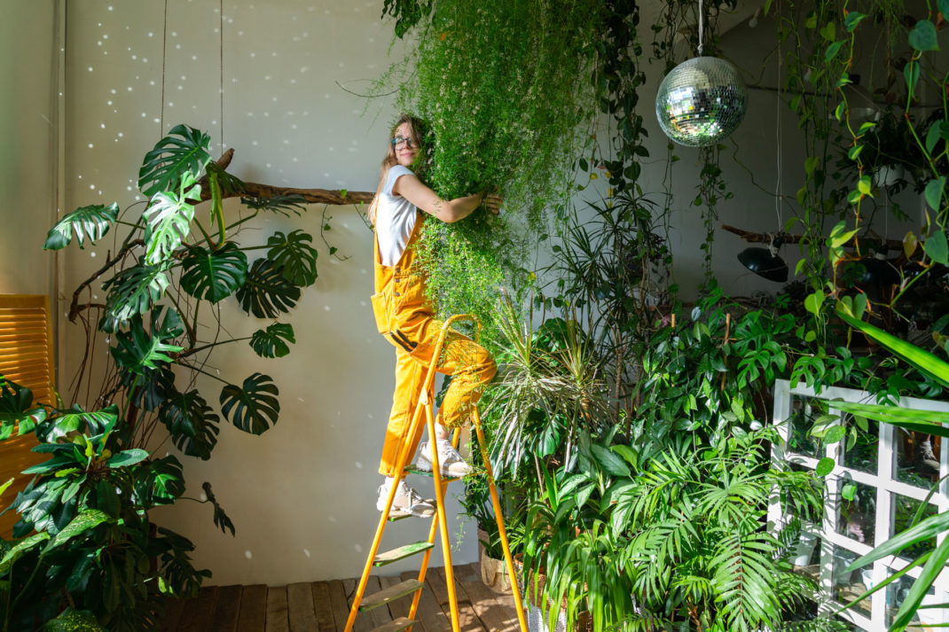 Woman surrounded by houseplants