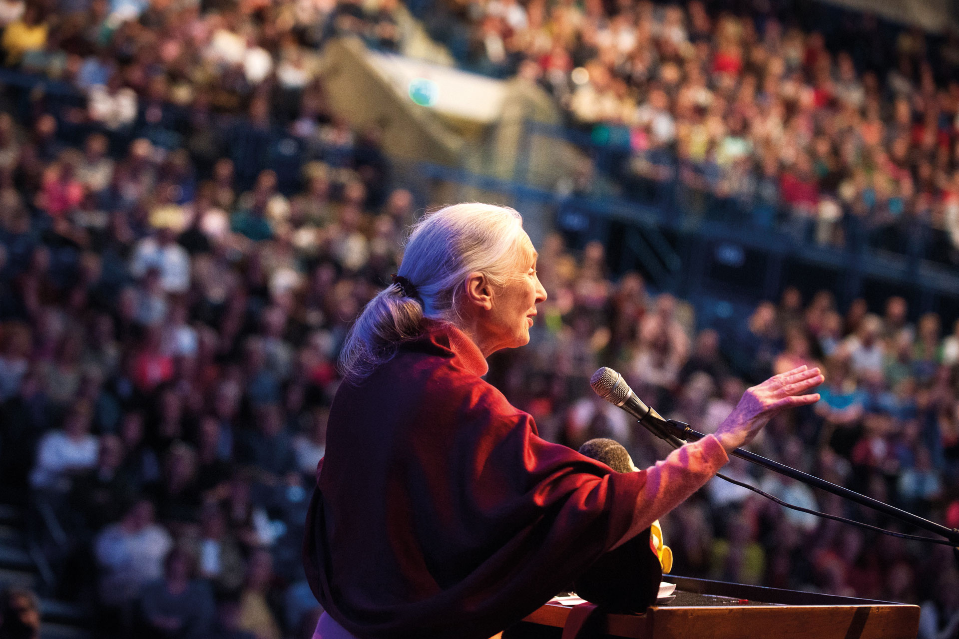 Jane Goodall