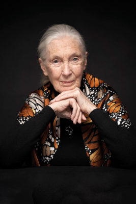 Jane Goodall