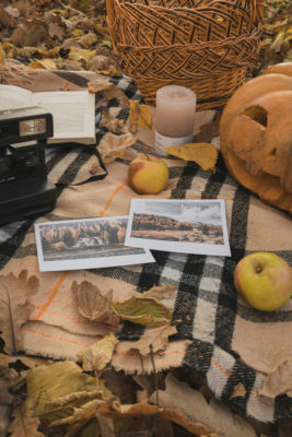 Blanket with pumpkin, camera, candles and basket | boo basket
