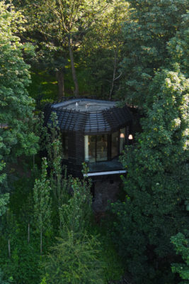 The Montenotte woodland suite
