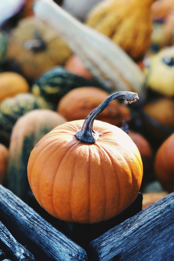 Pumpkin