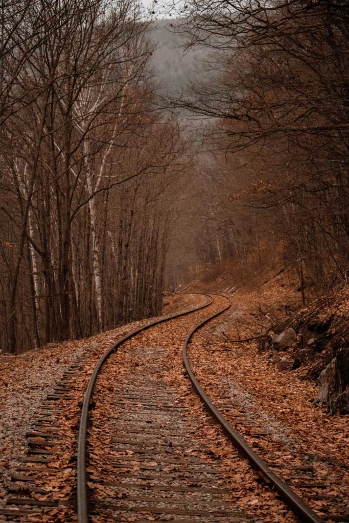 railway track in autumn