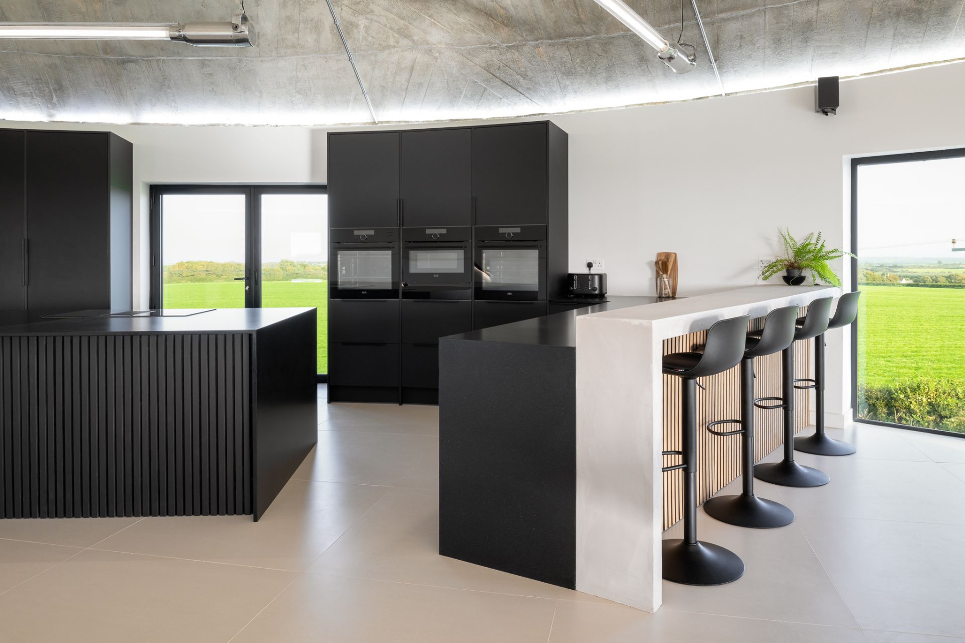 Modern kitchen with black cabinets