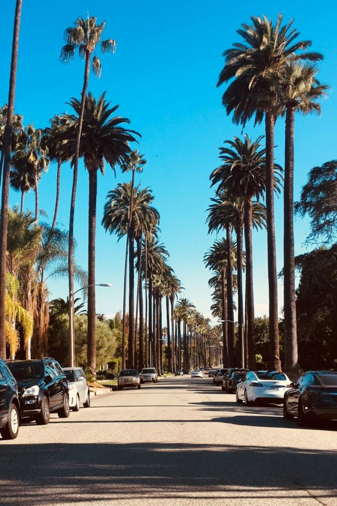 LA street with palm trees and blue skies