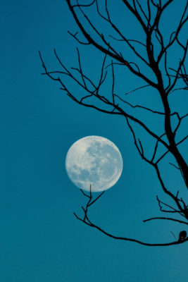 A full moon