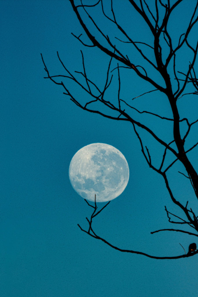 A full moon