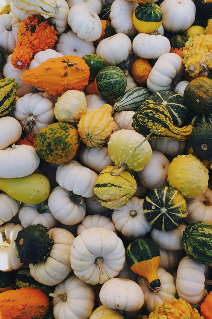 Squashes