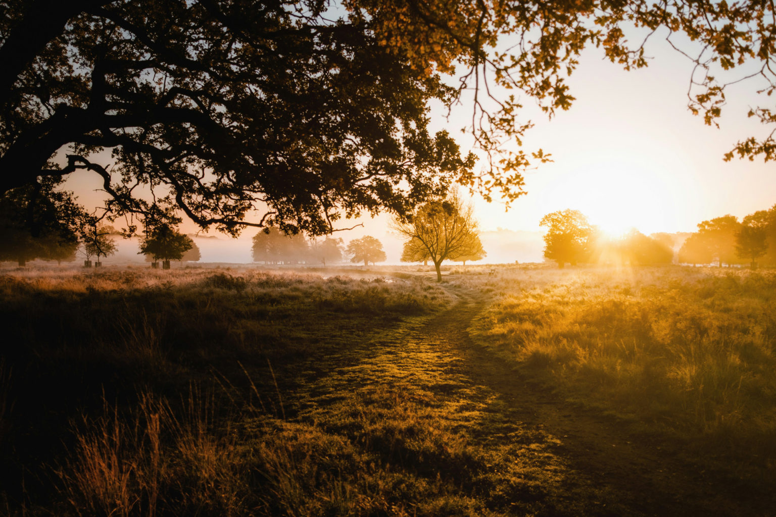 When Do The Clocks Change In Autumn 2024? UK Time