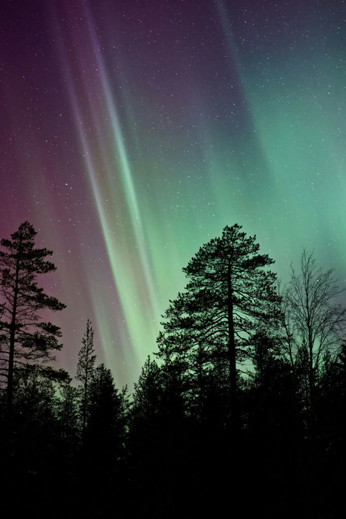Northern lights