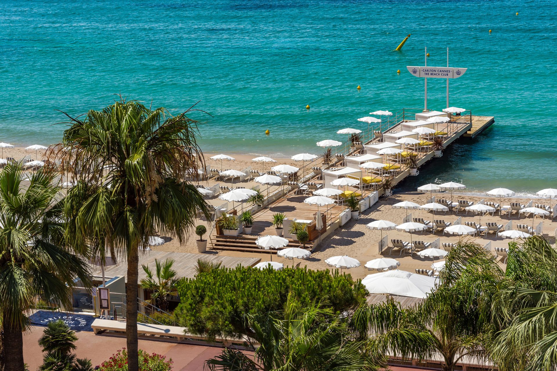carlton cannes