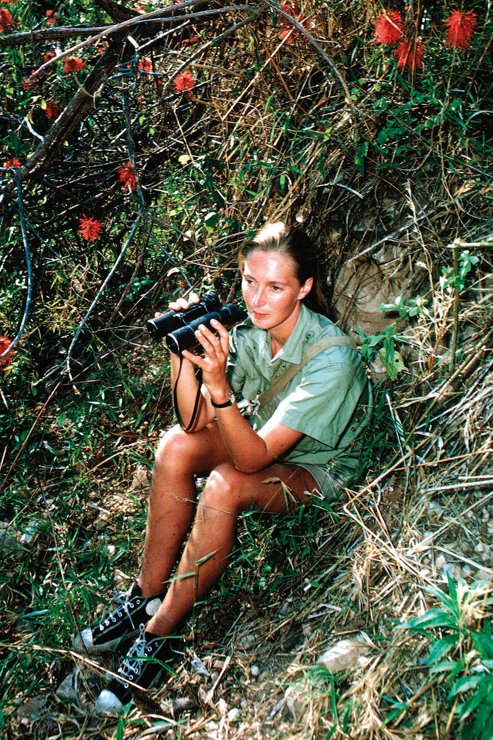 Jane Goodall