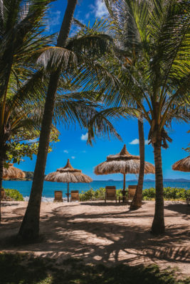 A beach in the sun