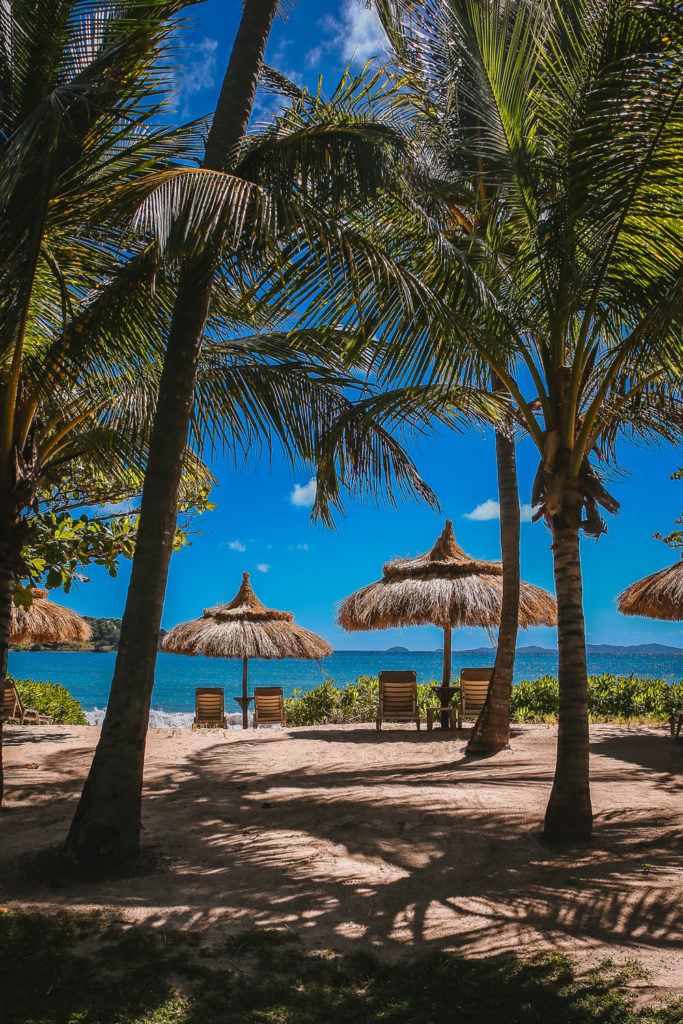 A beach in the sun