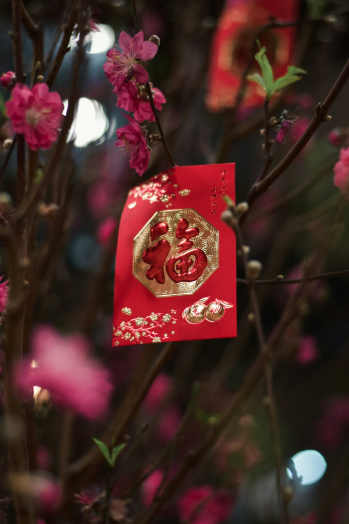 Red envelope on tree | Lunar New Year gifts