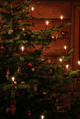 Christmas tree | Christmas Gift Guide 2024