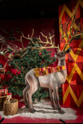 Reindeer in shop window