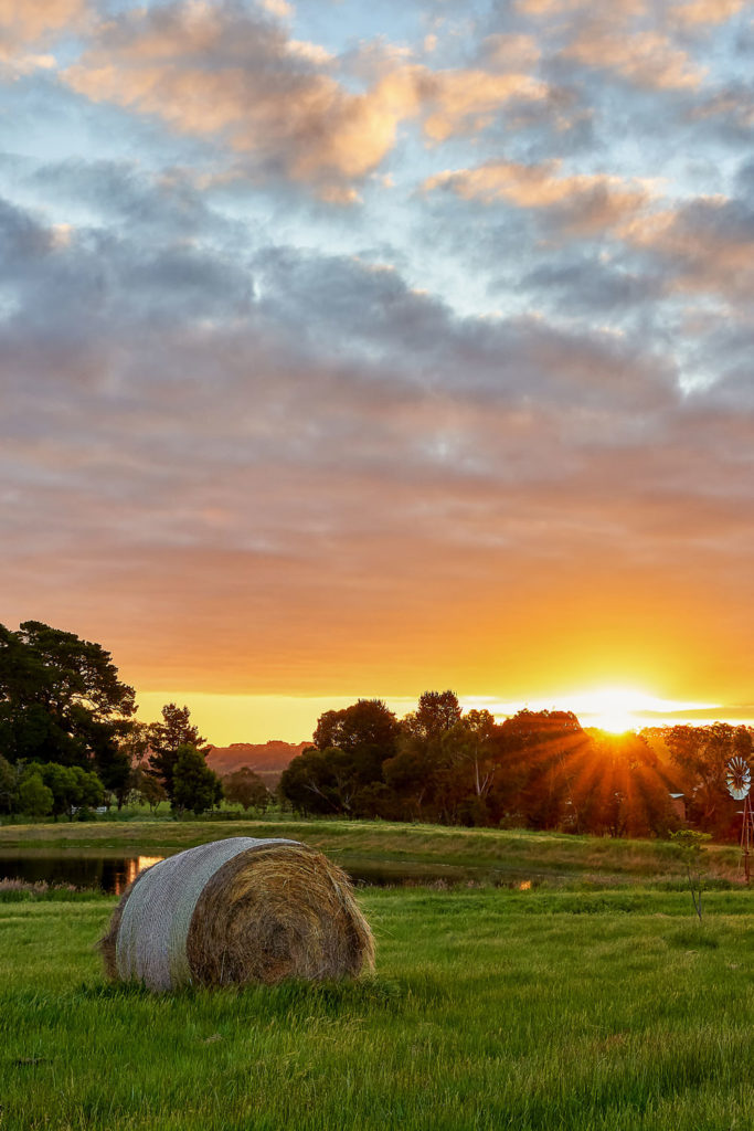 Farm at sunset