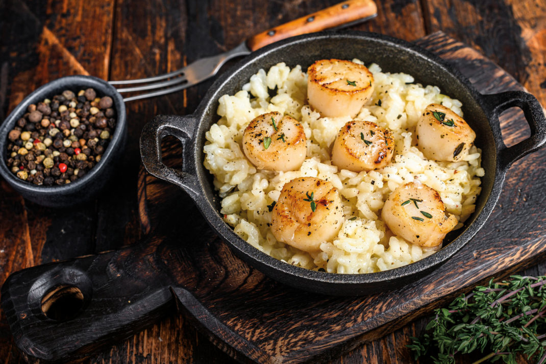 Scallop risotto