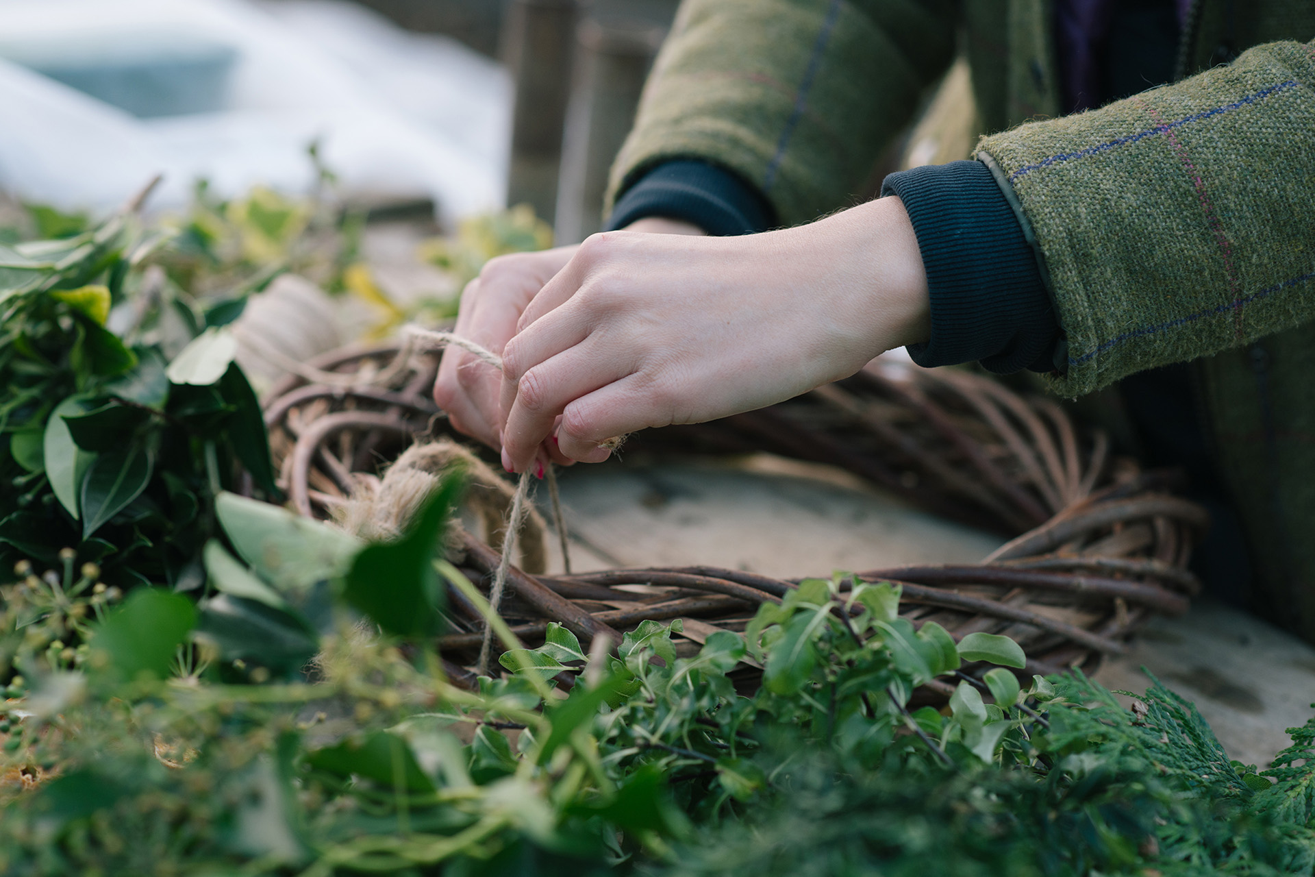 Hands making a natural Christmas wreath base