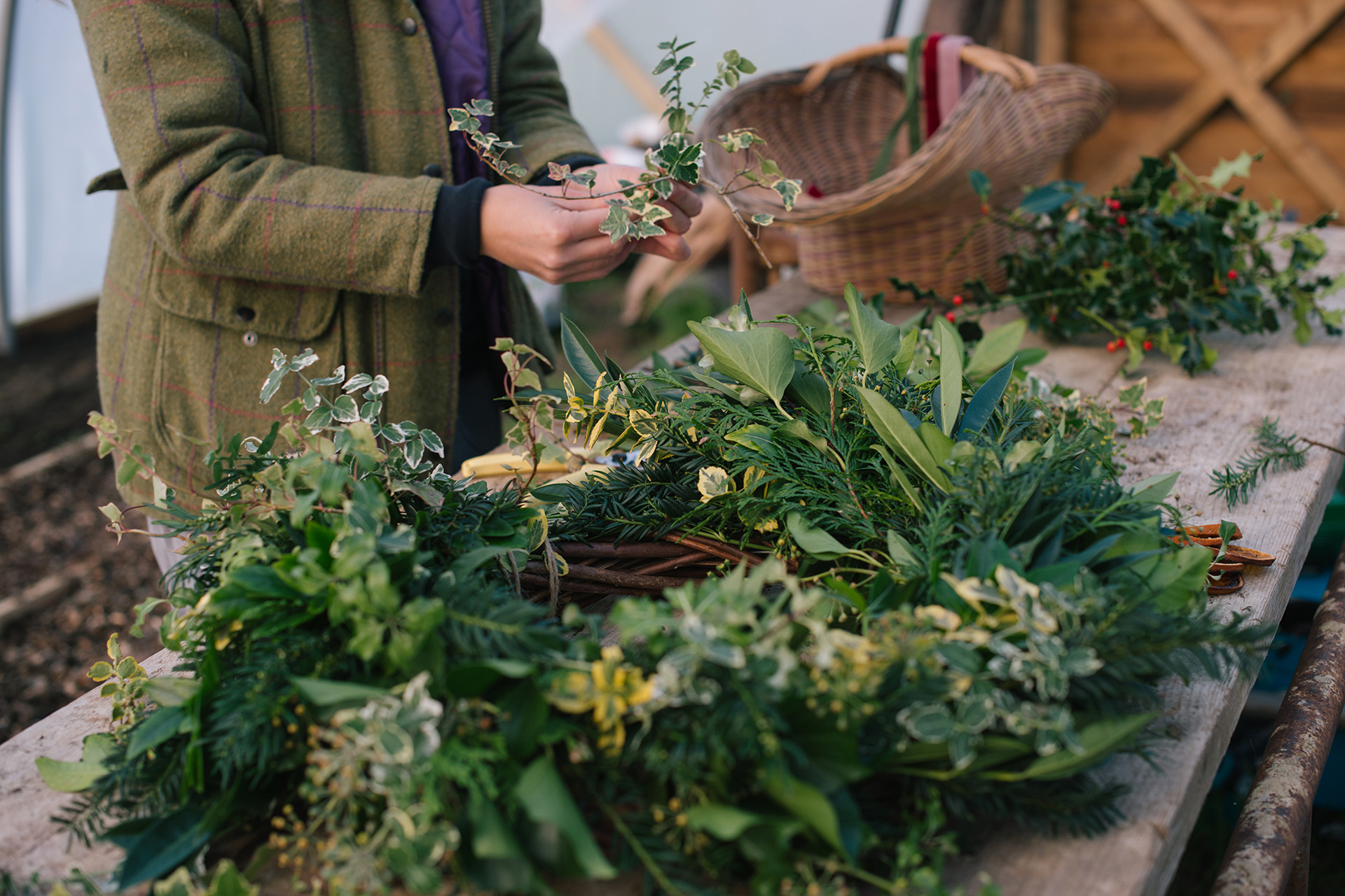 Arranging the foliage on a natural Christmas wreath