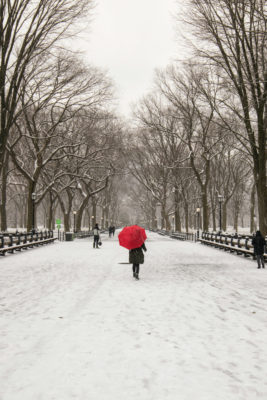 Person walking in snowy park with red umbrella | Winter Arc Walking Challenge
