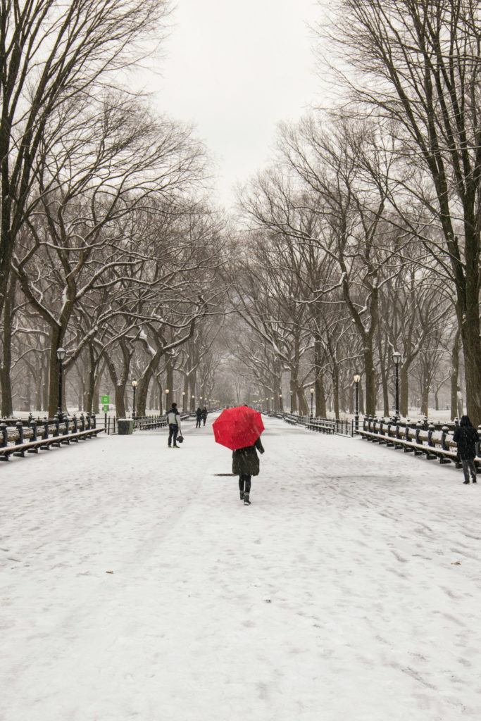 Person walking in snowy park with red umbrella | Winter Arc Walking Challenge
