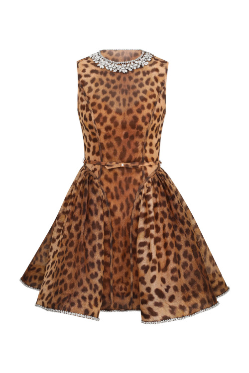 Leopard print dress