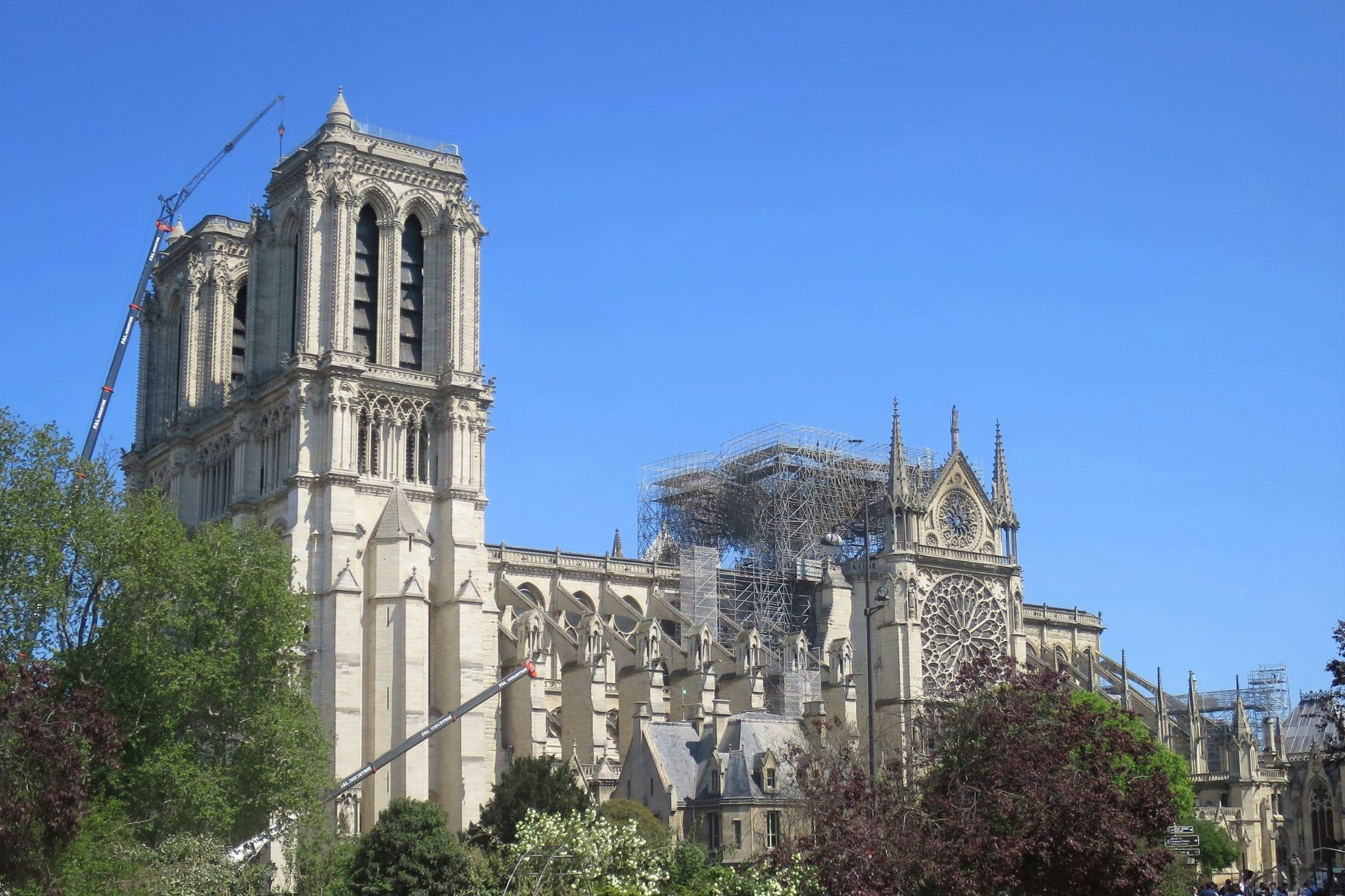 Notre Dame covered in scaffolding