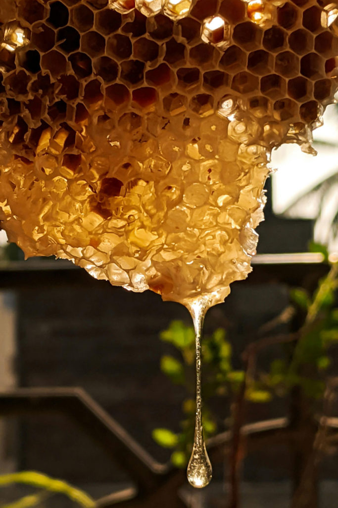 Honey