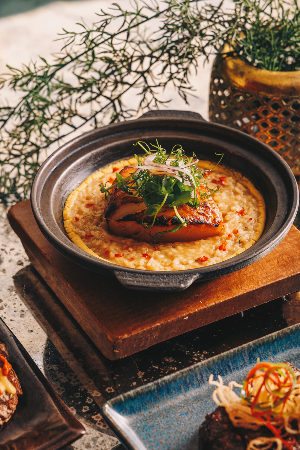 Food at COYA