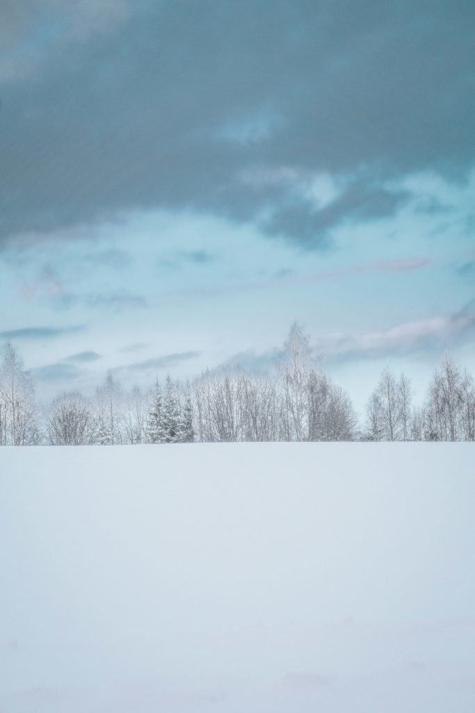 Winter landscape | january 2025 horoscope taurus