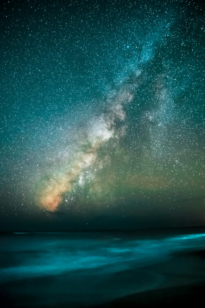Stars on blue sky | Pisces 2025 Horoscope