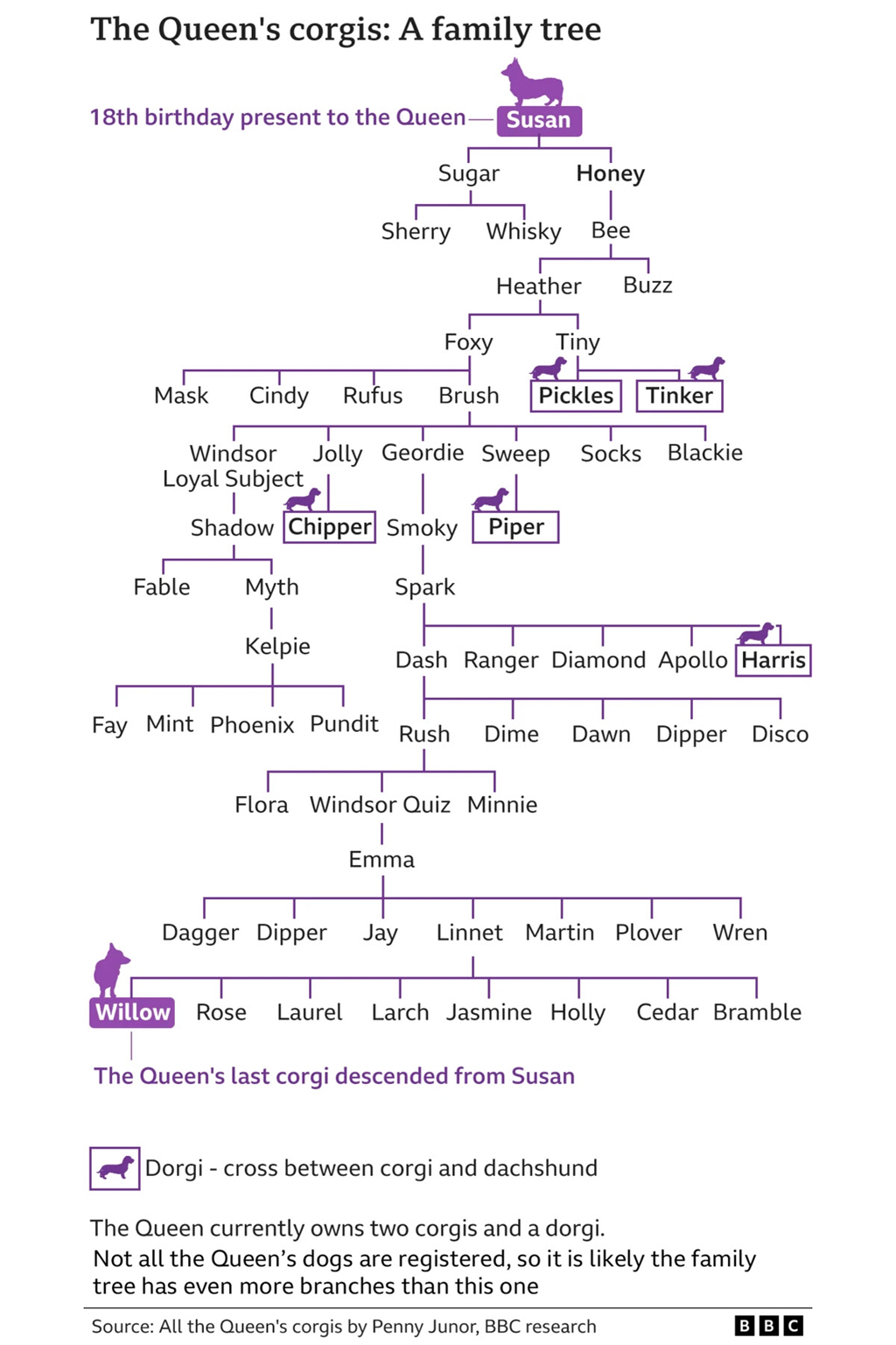 The Queen's Corgi family tree