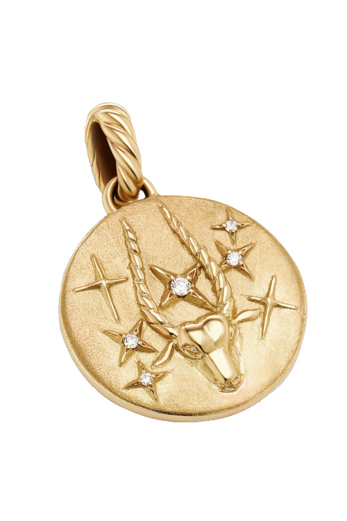Capricorn pendant