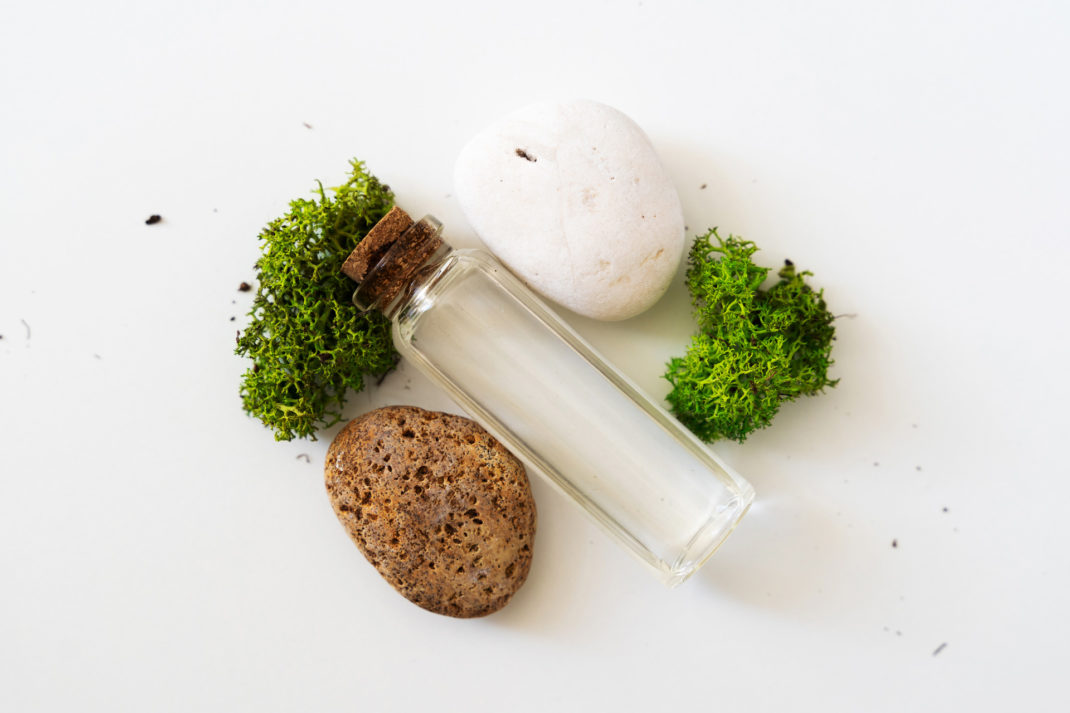 Sea moss