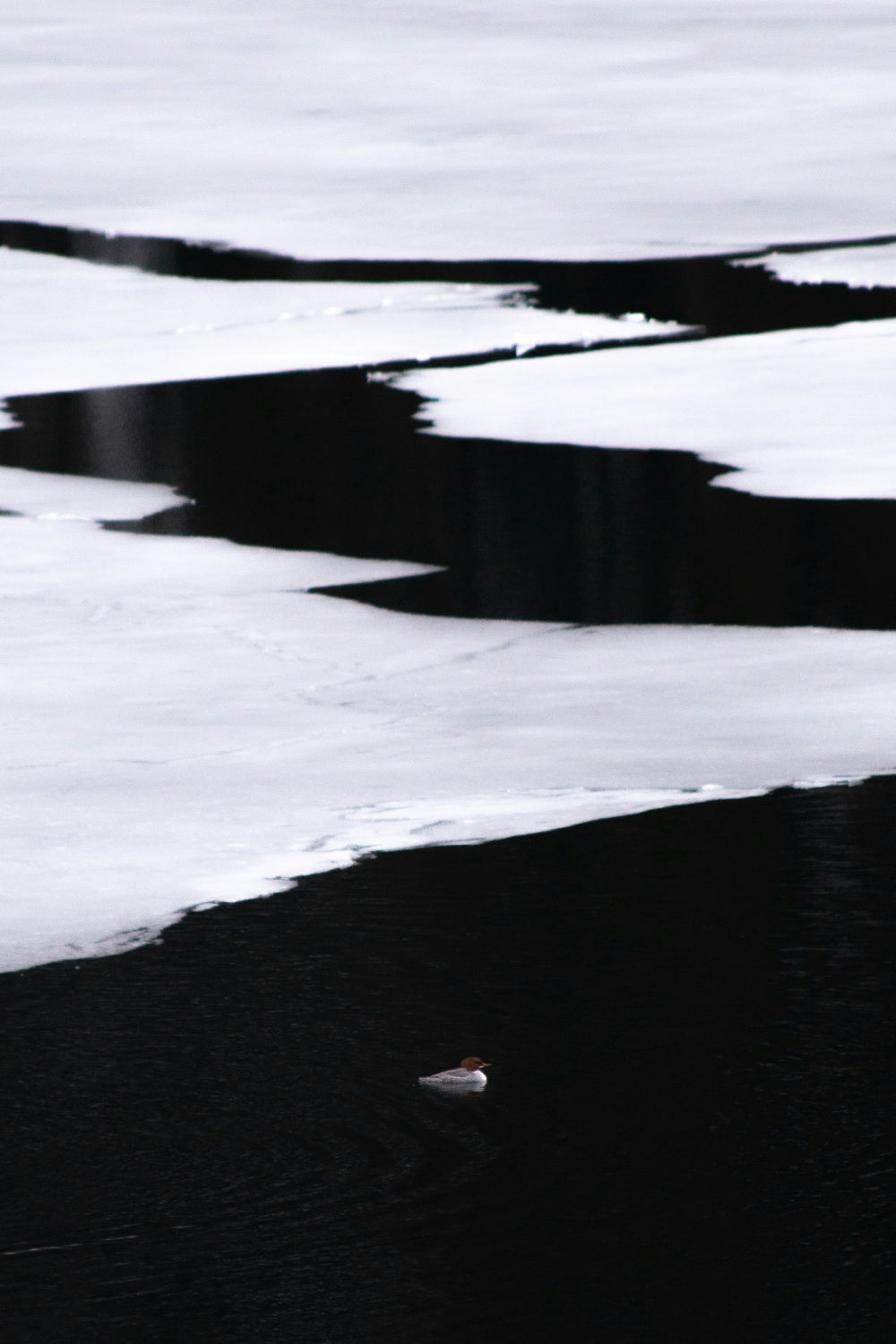 Frozen landscape with water