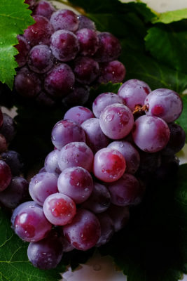 Bunches of grapes | grape seed oil for haircare