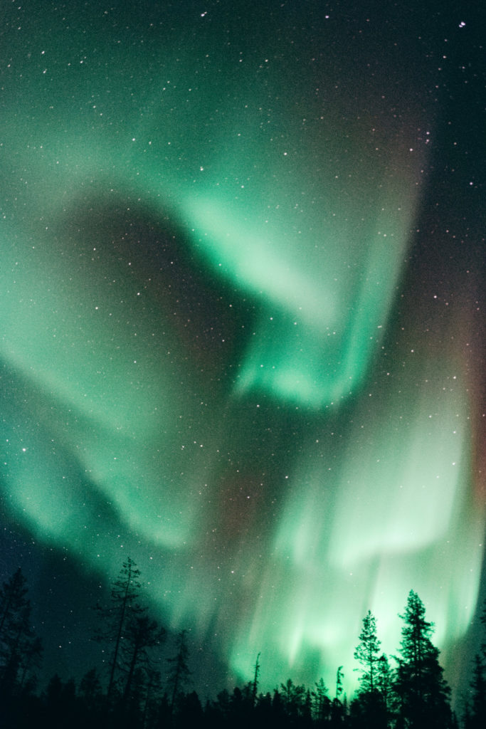 Aurora Borealis | Libra 2025 Horoscope