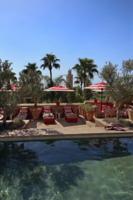 A swimming pool with loungers