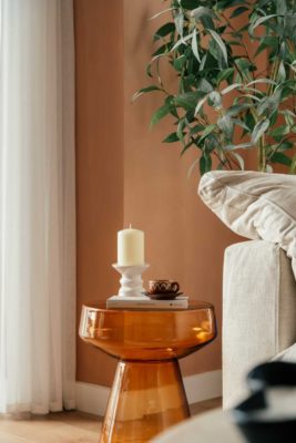 Terracotta living room with orange glass table and monstera plant
