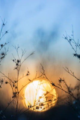 Sunrise | Blue Monday Mood Boosting Activities