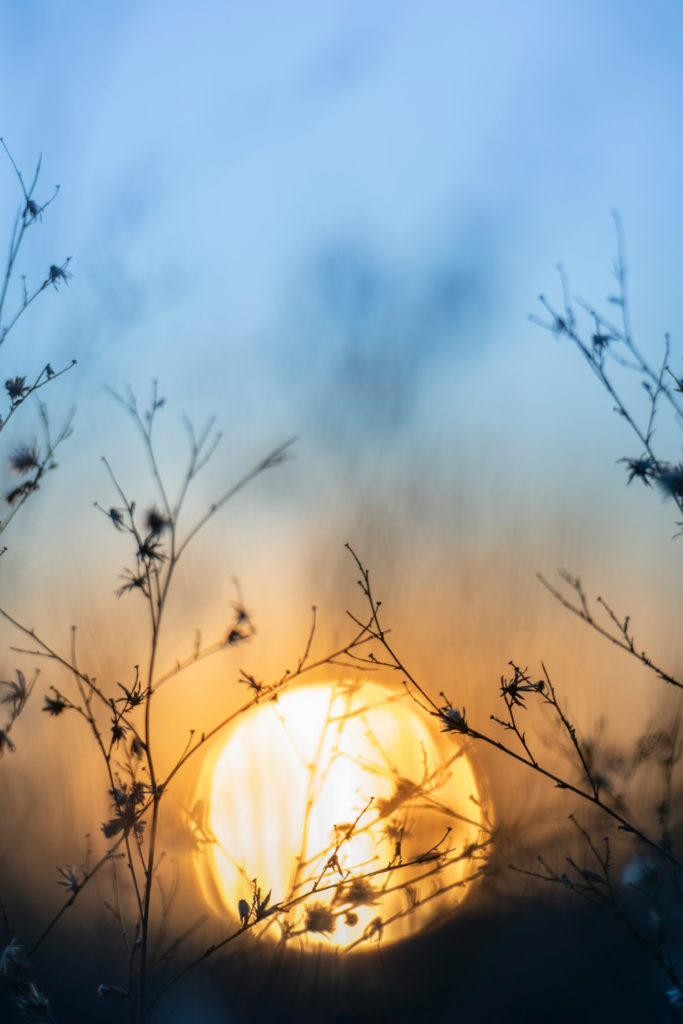 Sunrise | Blue Monday Mood Boosting Activities