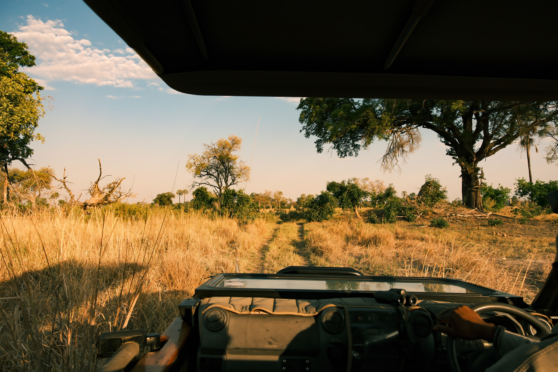 On safari in Botswana