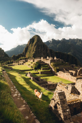 Machu Picchu