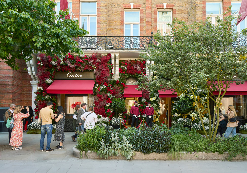 Cadogan